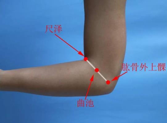 曲池的准确位置图，曲池的功效与作用