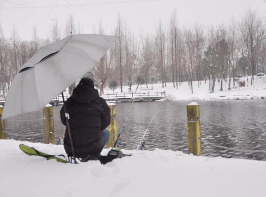 下雪天钓鱼是钓深水还是钓浅水？下雪天钓鱼用什么饵料好？