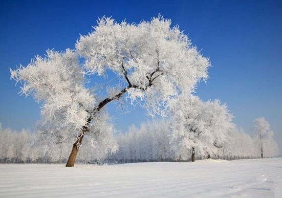 下雪汽车要不要罩起来？下雪可以用塑料布盖住汽车吗