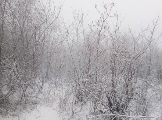 下雪怎么开车？下雪天怎么保养汽车？