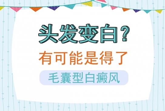 白癜风医生雷安萍：头发变白？有可能是得了毛囊型白癜风