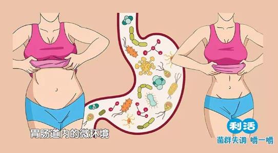 一直减肥一直胖？江中利活乳酸菌素片帮你清除障碍