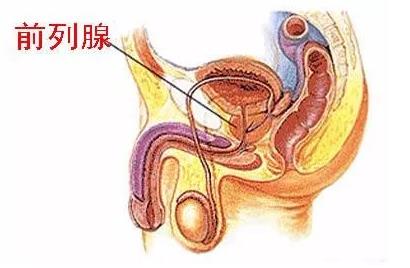 苏州紫荆医院怎么样？昆山紫荆医院坑人吗？