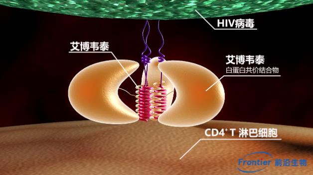 临床数据：艾博韦泰搭建的两药简化方案对艾滋病重症患者安全有效