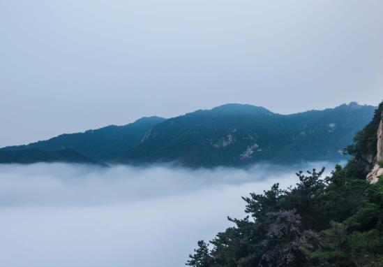 行程卡在一个地方停留4小时会更新显示吗？通信行程卡有误差怎么办