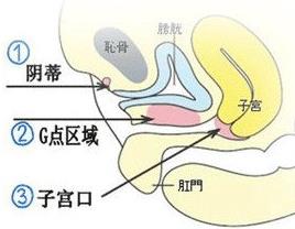 重庆哪家医院做g点填充比较好？