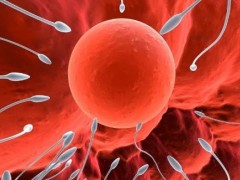 精子弱能生男孩吗？什么样的精子能生男孩