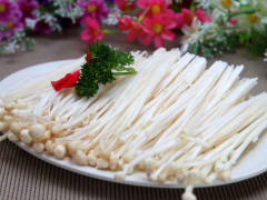 金针菇食材选用有讲究-金针菇可提高免疫力
