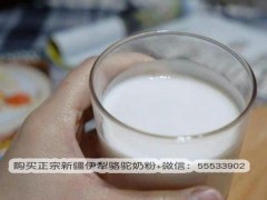 哪里能买到正宗新疆骆驼奶粉？真的骆驼奶粉价格是多少？