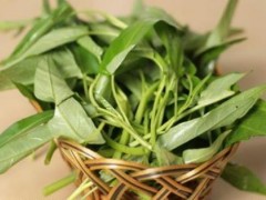 如何挑选空心菜？吃空心菜的食用禁忌