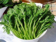 茼蒿怎么做好吃？茼蒿的营养价值、功效与作用