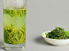 苦丁茶可以减肥吗？哪些人不宜喝苦丁茶？