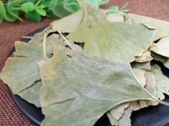 银杏叶茶有哪些成分？银杏叶茶有哪些功效？