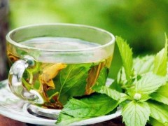 咽炎可以喝薄荷茶吗？薄荷茶有哪些功效？