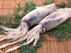 发黑的鱿鱼是不是不新鲜？活鱿鱼怎么保鲜？