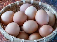 鸡蛋晃动起来有晃动感是坏了吗 鸡蛋黄腥还是鸡蛋清腥