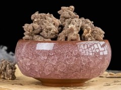 夏枯草和夏枯球的作用哪个好喝 夏枯草会推迟月经吗