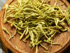 金银花和什么搭配治疗口臭 金银花的作用是什么