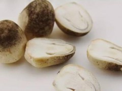 痛风可以吃草菇吗？草菇有哪些功效？