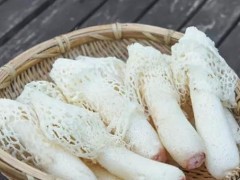尿酸高可以吃竹荪？吃竹荪会回奶吗？