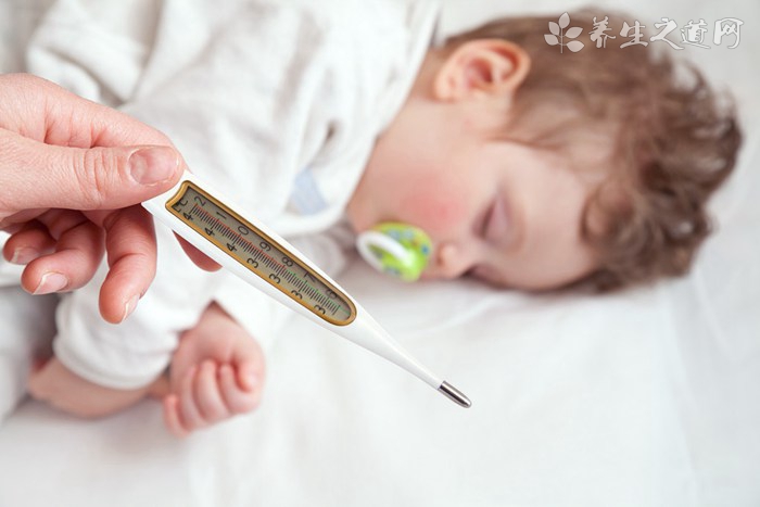 五脏六腑的保养诀窍＿五脏六腑的保养方法