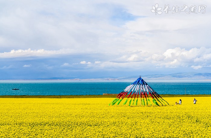 沐浴节