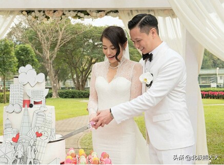 胡杏儿个人资料(胡杏儿与黄宗泽同居8年却分手了)