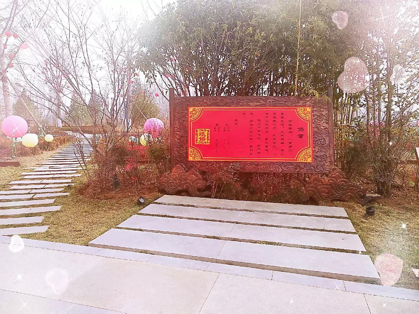 20年是什么婚纪念日(20年瓷婚是寓意图片)