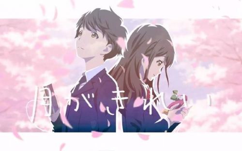 今晚的月色真美下一句(今晚月色真美回答)