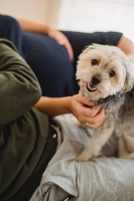 什么是皮下埋植避孕法 这种避孕方法比戴套、吃药更有效