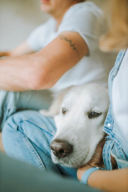 吃避孕药月经紊乱多久可以恢复