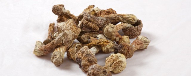 炖鹿茸几分钟就熟呢 炖鹿茸炖多久