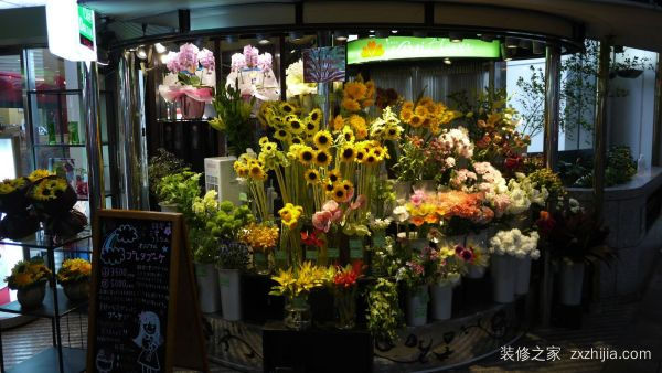 花店装修效果图赏析，花店装修技巧