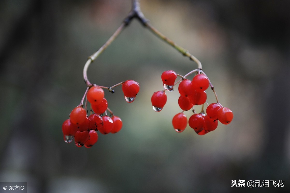 离婚女人长久不看孩子，无非是这四种心理