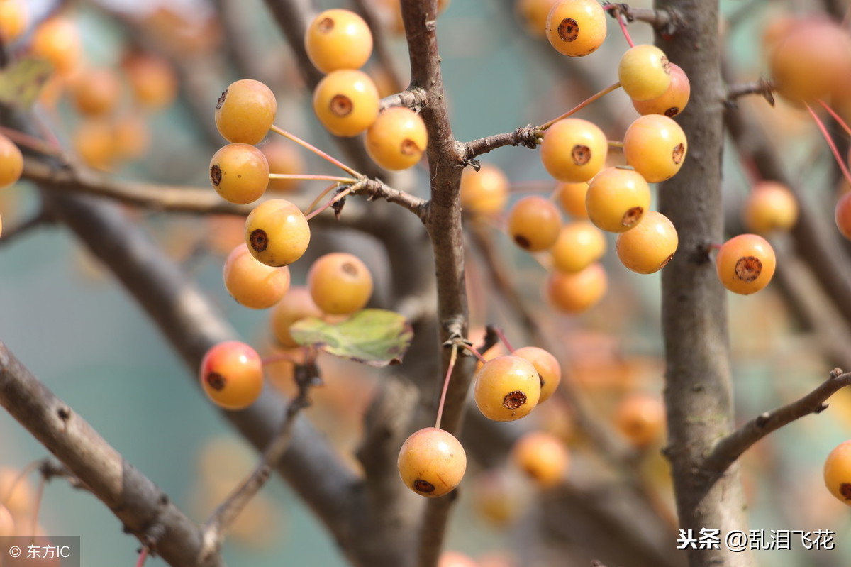 离婚女人长久不看孩子，无非是这四种心理