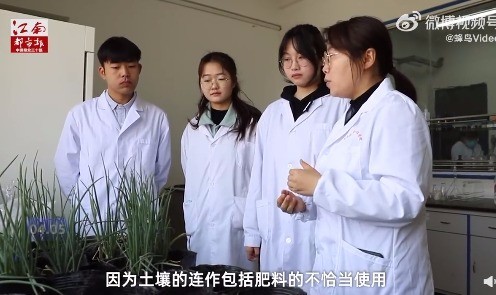 厉害了！大一女生研发菌剂让被污染土壤增产20%