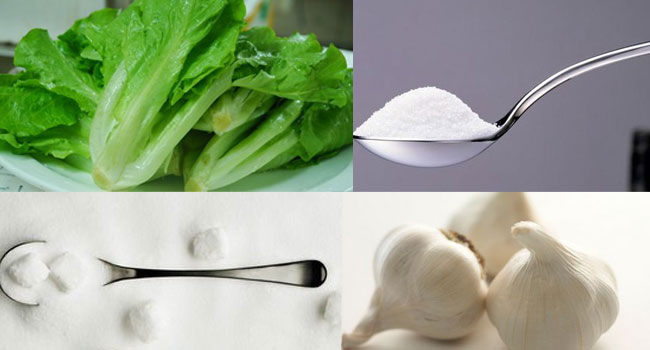 蚝油生菜
