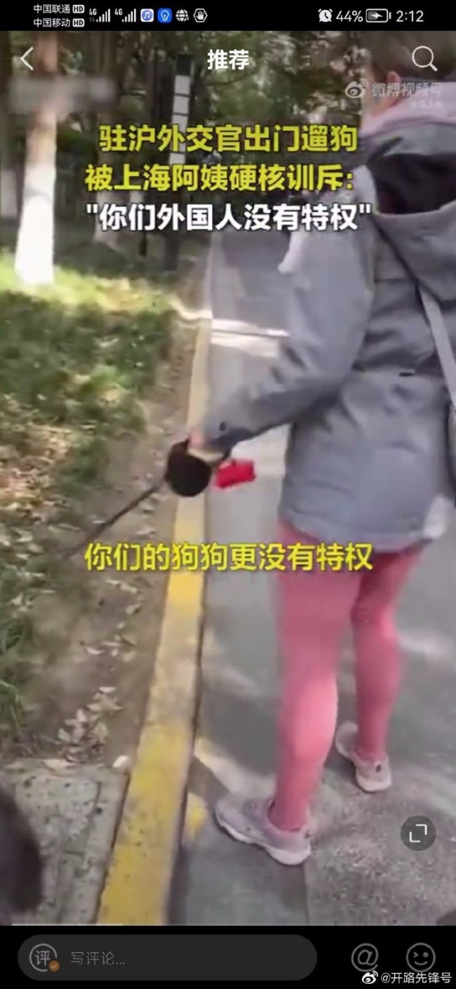 驻沪外交官出门遛狗被硬核劝回 上海阿姨好牛