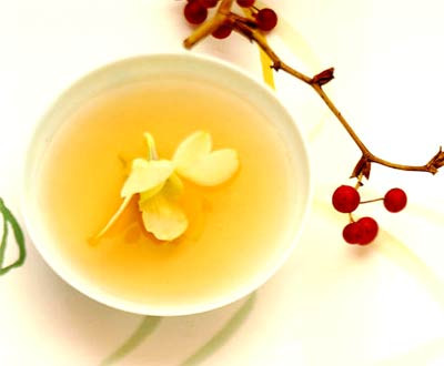 上班喝什么茶好