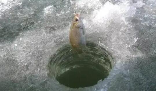 冰钓鲫鱼怎么找鱼窝
