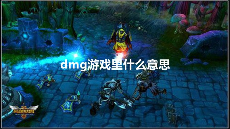 dmg游戏里什么意思