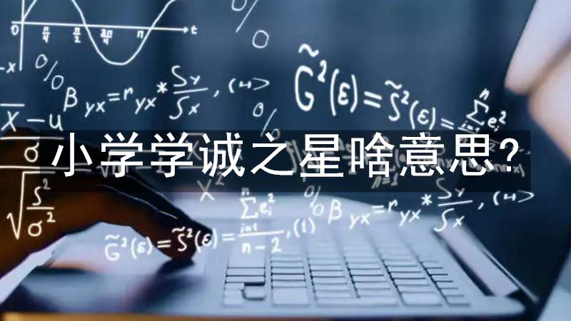 小学学诚之星啥意思?
