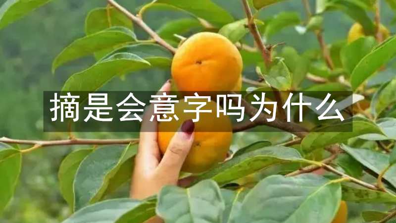 摘是会意字吗为什么