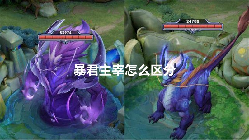 暴君主宰怎么区分