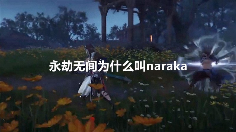 永劫无间为什么叫naraka