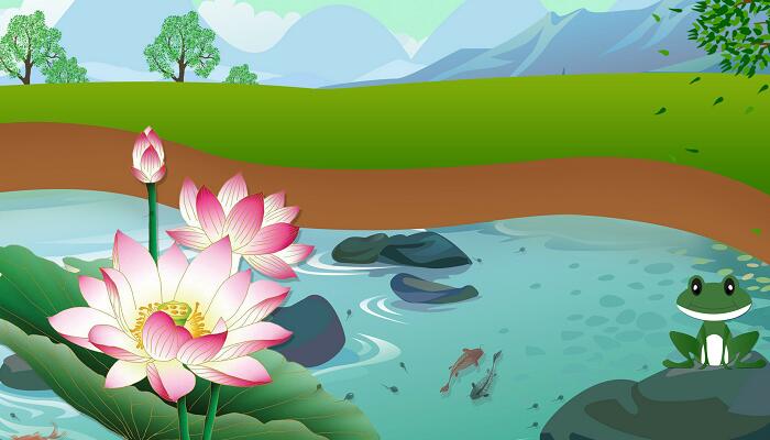 青蛙什么季节出现