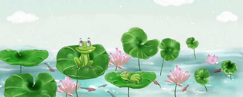 青蛙什么季节出现