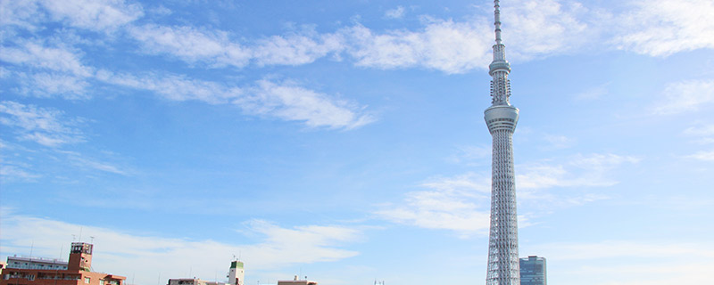 东京晴空塔多高