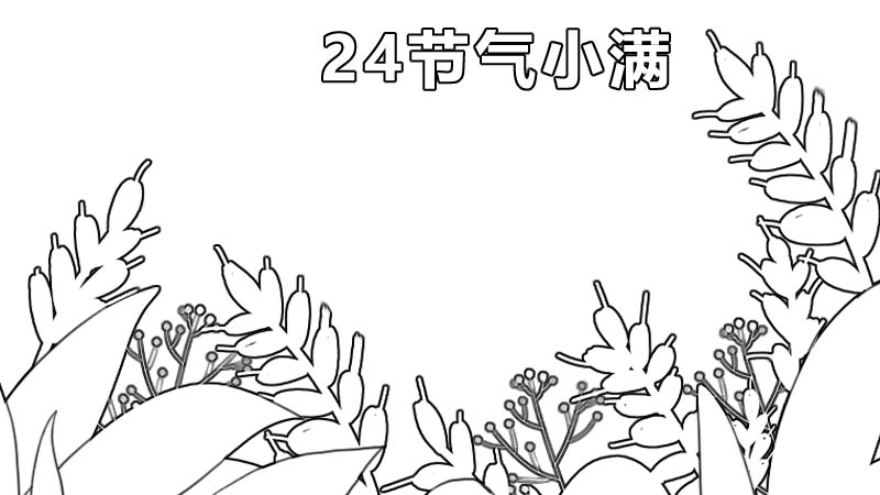 24节气小满手抄报