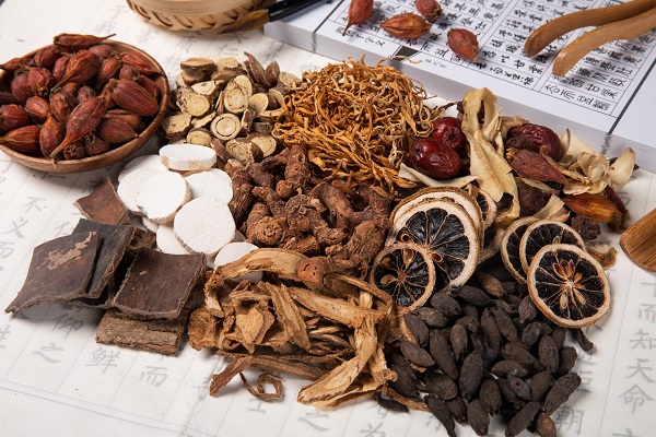 桦褐孔菌的功效与作用